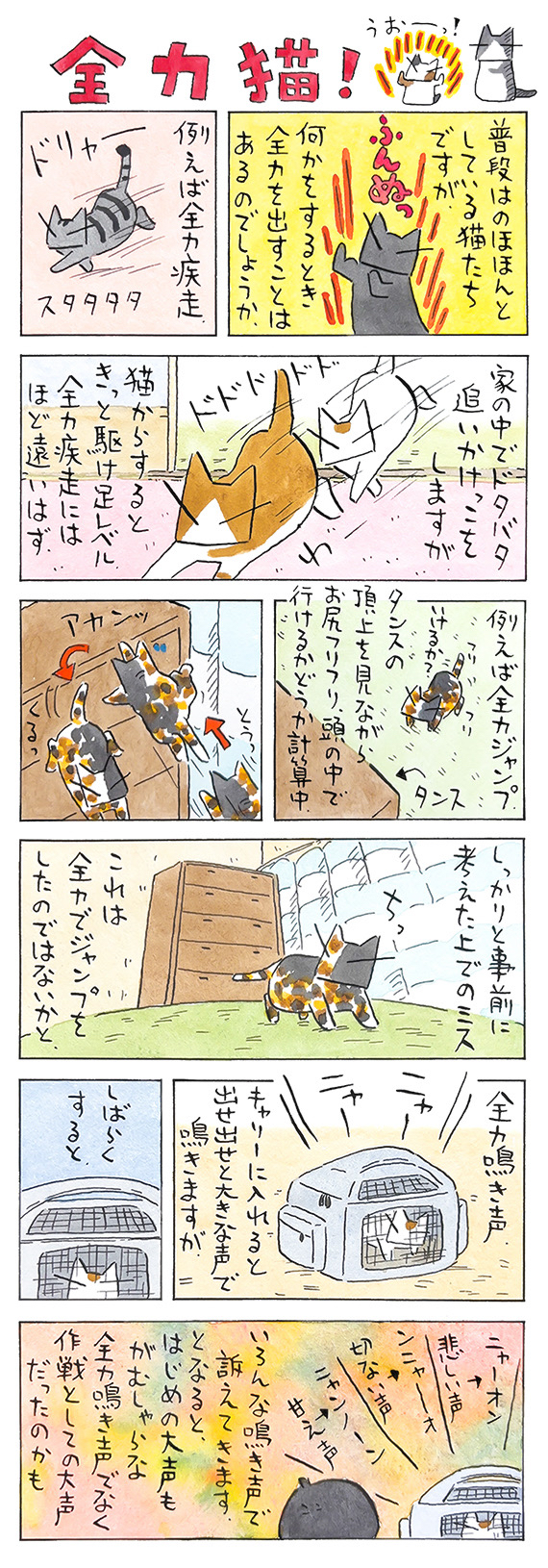 久保_2026_08_02_1.jpg