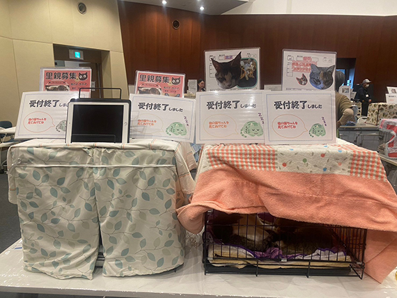 LINE_ALBUM_譲渡会20240512_240513_14.jpg