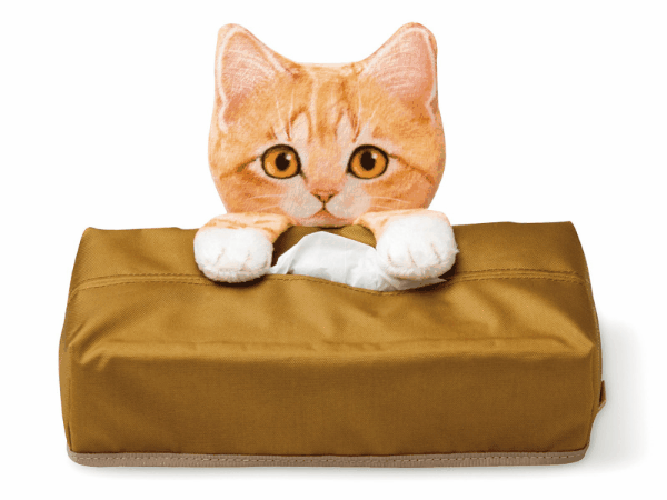 ティッシュをねらう子猫が ティッシュカバーになって登場 フェリシモ猫部 ティッシュをねらう子猫が ティッシュカバーになって登場 フェリシモ猫部