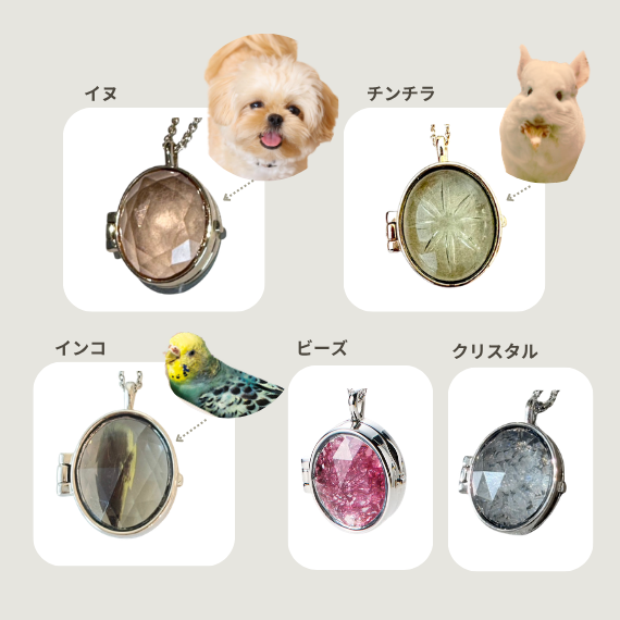 animalarange.png