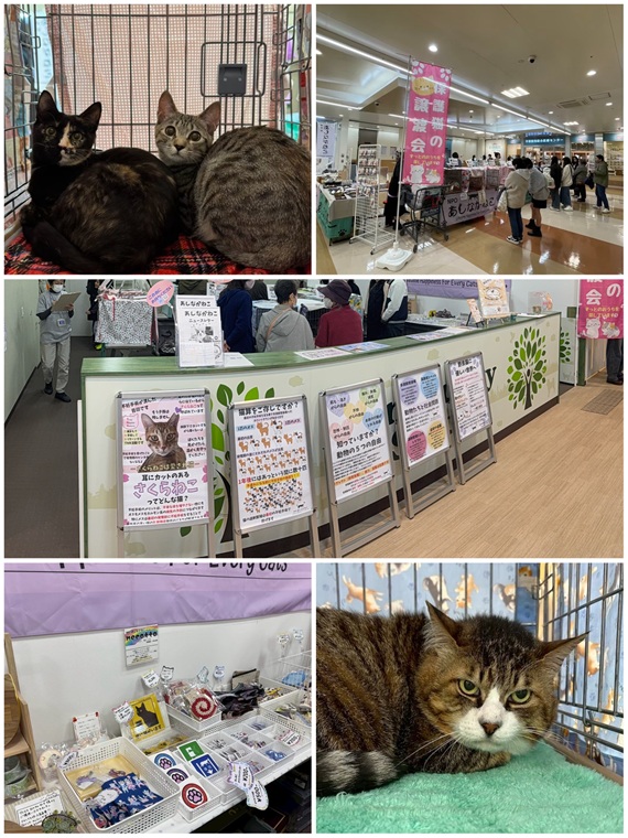 asinaganeko1221-3.JPG