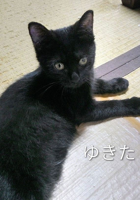 ７-ゆきた_KIMG4793~2.jpg