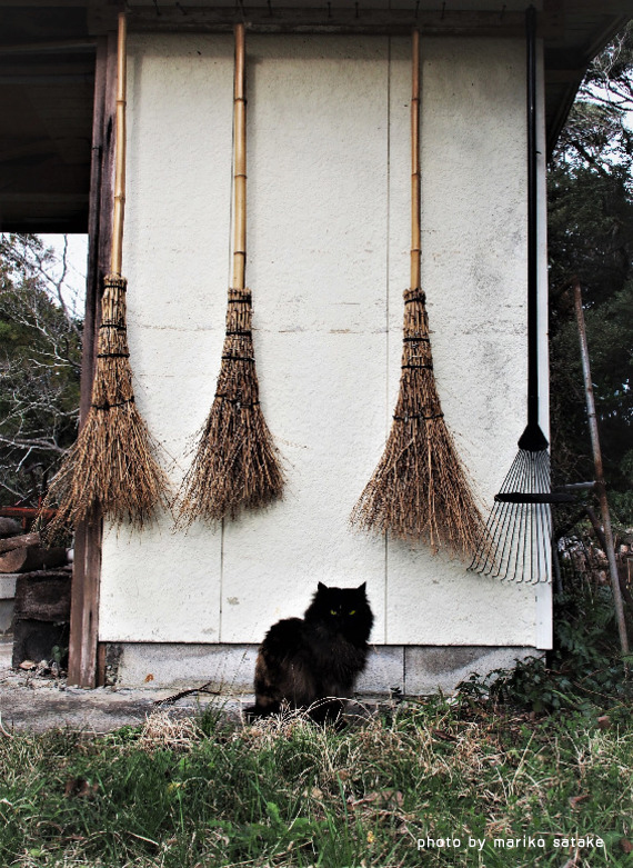 黒猫は ミステリイ フェリシモ猫部