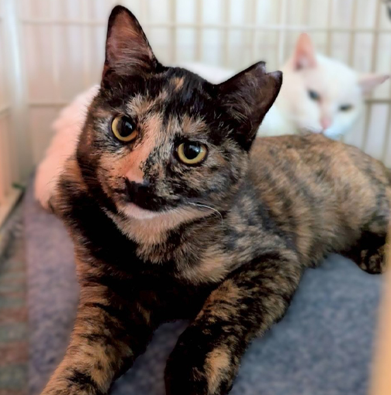 14_さいまる① (2).jpg