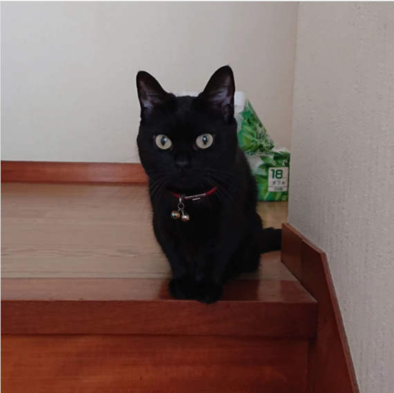 夜ちゃん.png