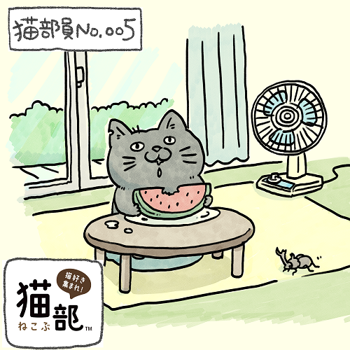 猫部員5.png