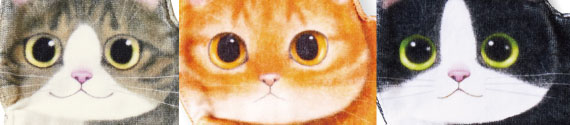 モノレール猫タオル目鼻.jpg