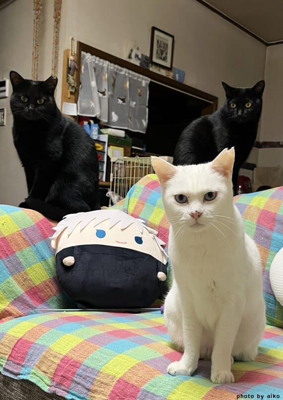 ３.jpg