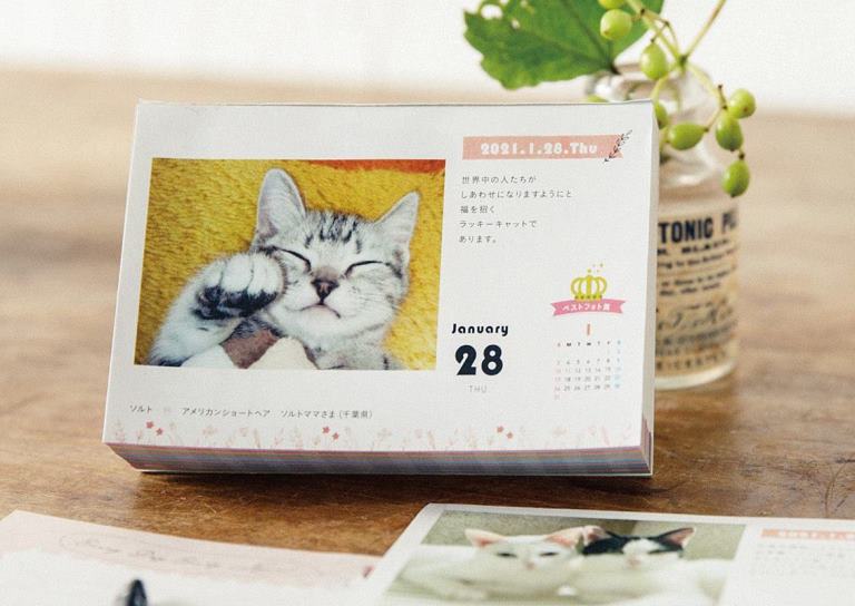 日めくりカレンダー まいにちにゃんこ まいにちわんこ の21版が完成 フェリシモ猫部