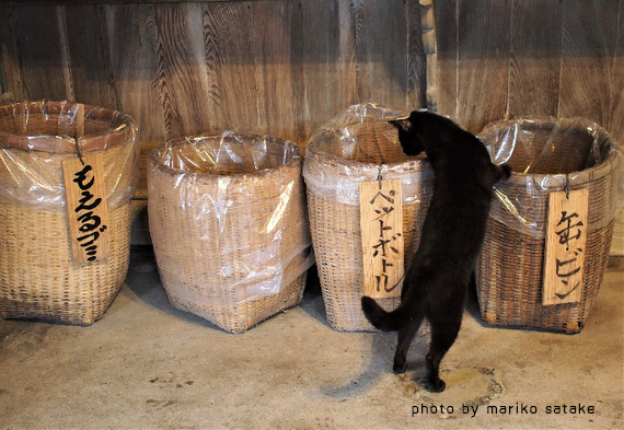 黒猫は ミステリイ フェリシモ猫部