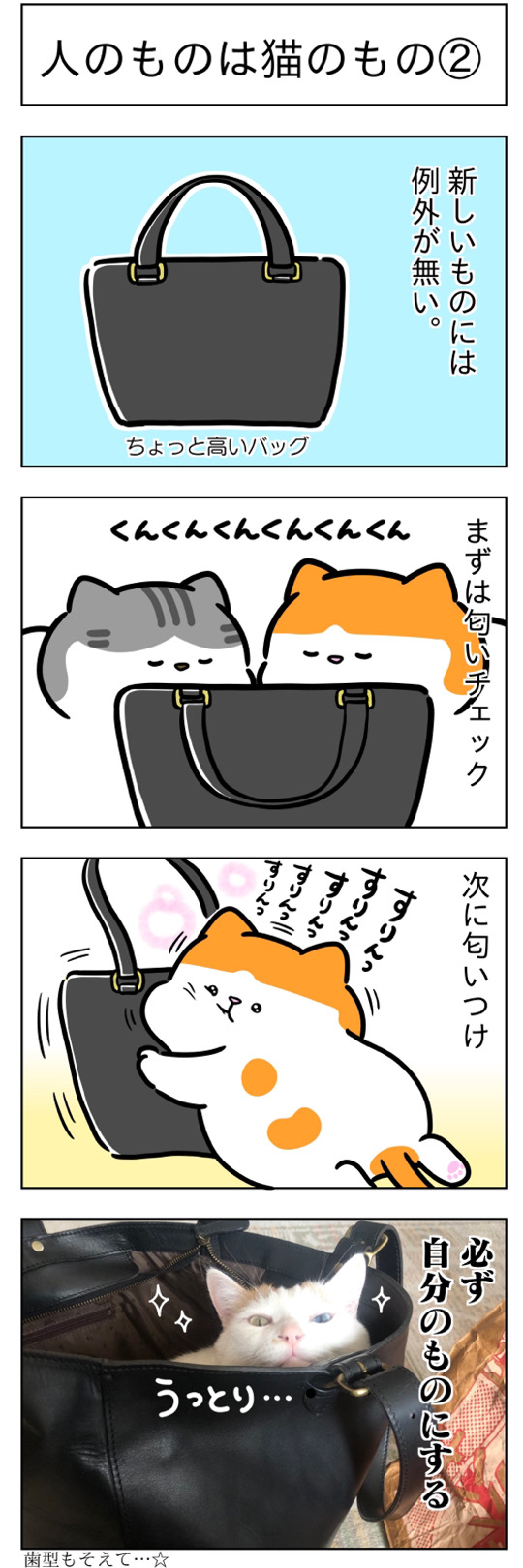 furai246.jpg