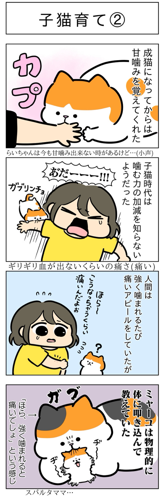furai308.jpg