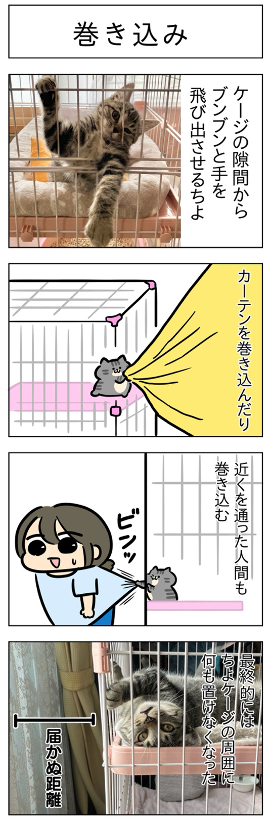 furai411.jpg