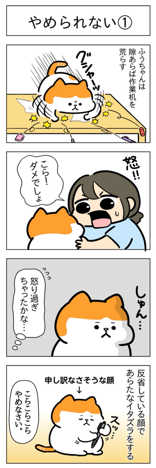 furai498.jpg