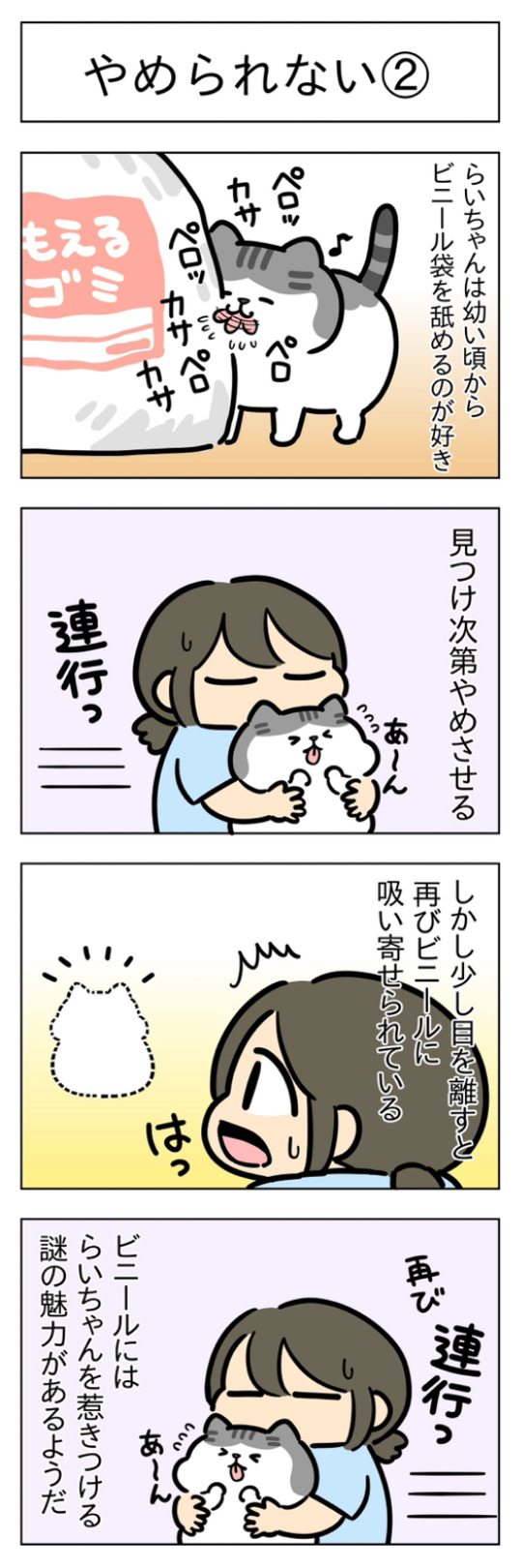furai499.jpg