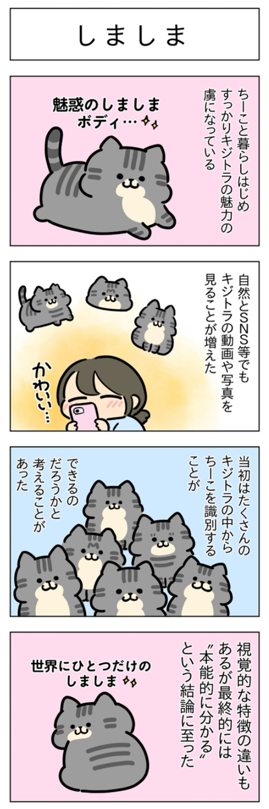 furai506.jpg