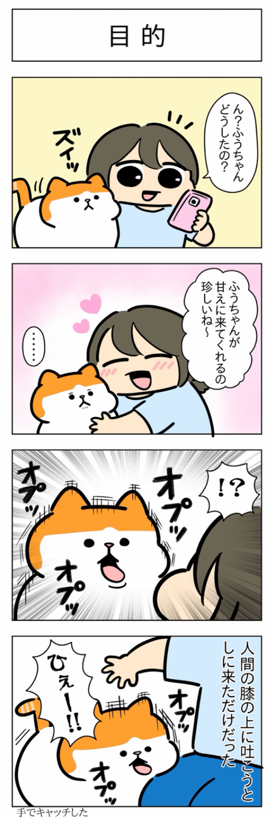 furai508.jpg