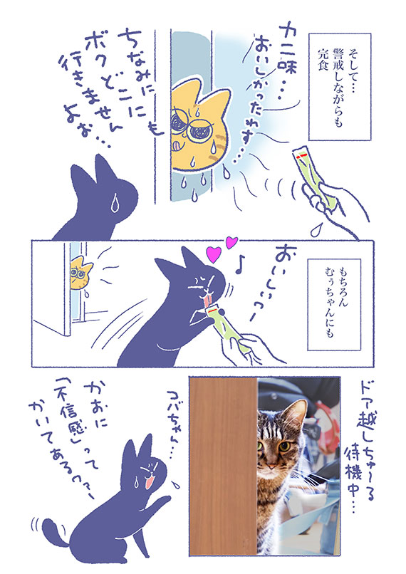ichaneko55.jpg