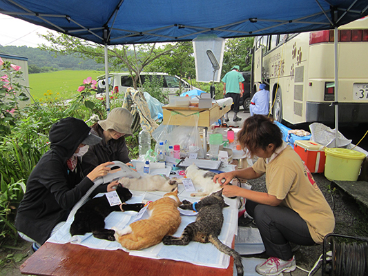 ※15 北海道芦別TNR.jpg