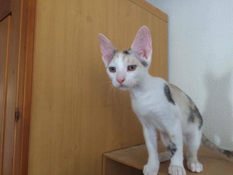 ジューン received_1299157700211313 (1).jpeg