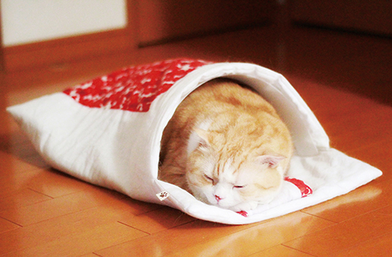猫のお布団 発売開始 フェリシモ猫部