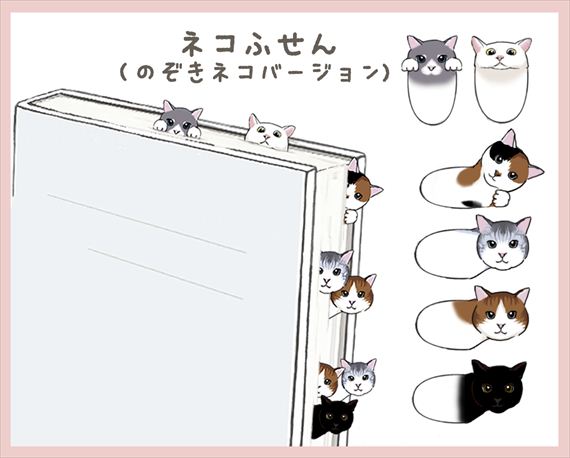 覗き猫イメージ_570.jpg