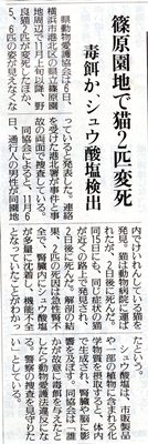 読売新聞記事.jpg