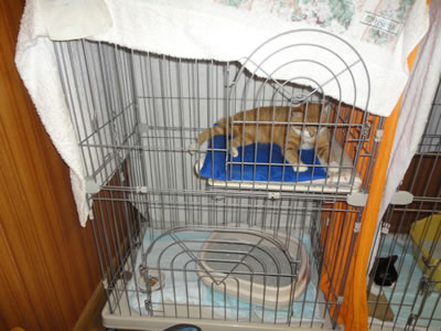 120101-4.jpg
