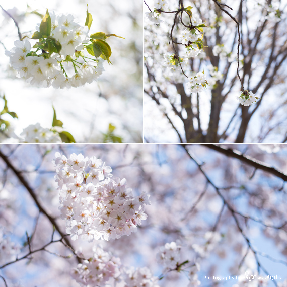 150504c.jpg