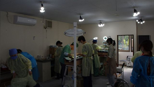 201210091.jpg