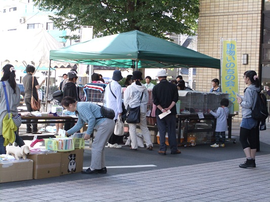 2013-9-28-moeioka-hokenjyo.jpg