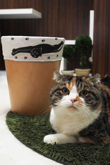 愛猫のいたずら対策に! 猫との暮らしのお悩みをかわいく&かしこく
