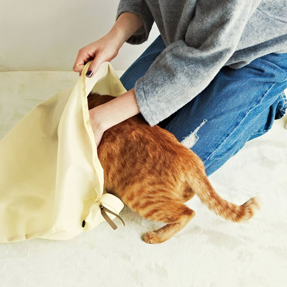 猫との暮らし便利アイテム:キャットキャリーバッグ│フェリシモ猫部