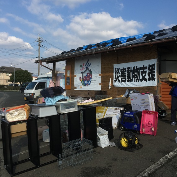 Shippomura -161130-1.jpg