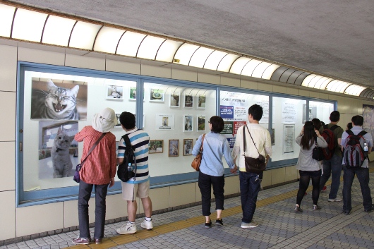 kamakura garully 20130526.jpg