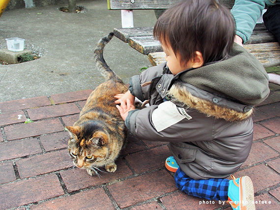 michibata20170214-3.jpg