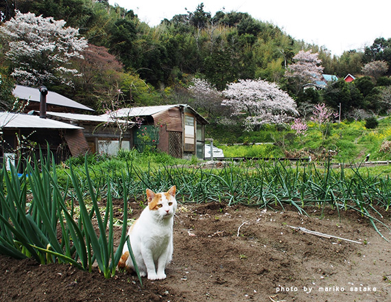 michibata20170411-4.jpg