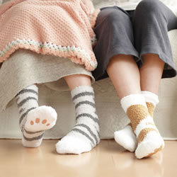 neko_111116-3.jpg