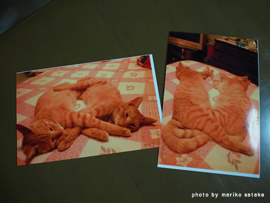 nekoblog108-3.jpg