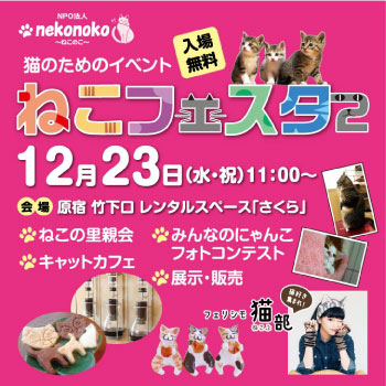 nekofest2_banner_350.jpg