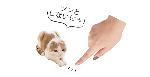 おそろいだニャ♥ 猫の肉球色をイメージした1dayネイルが登場