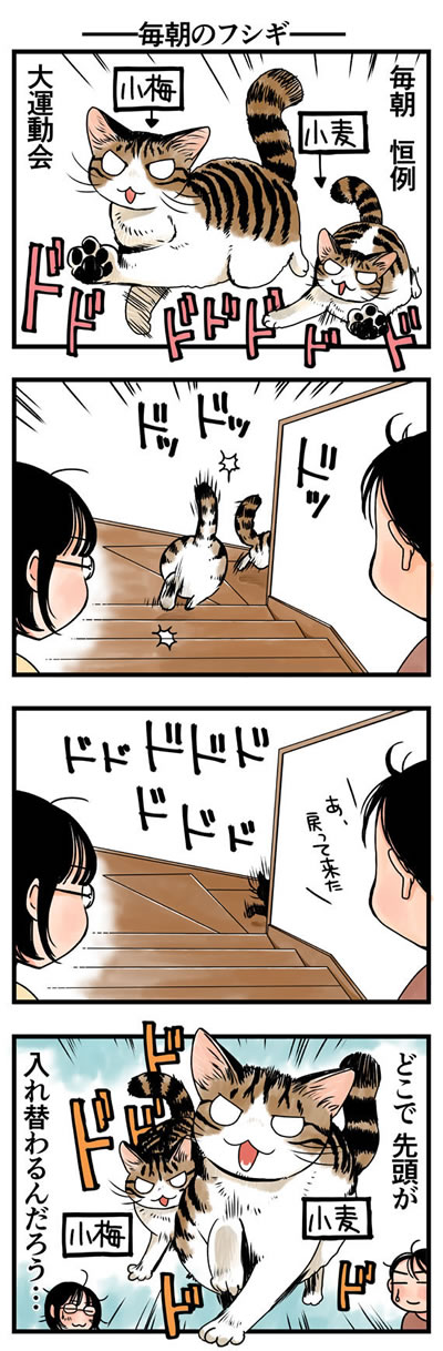 rinrin_neko06.jpg