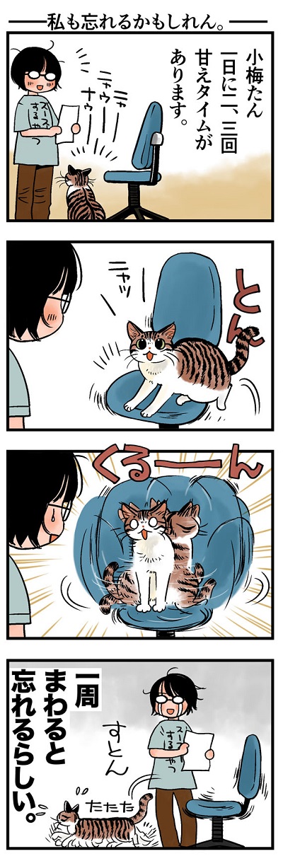 rinrin_neko151.jpg