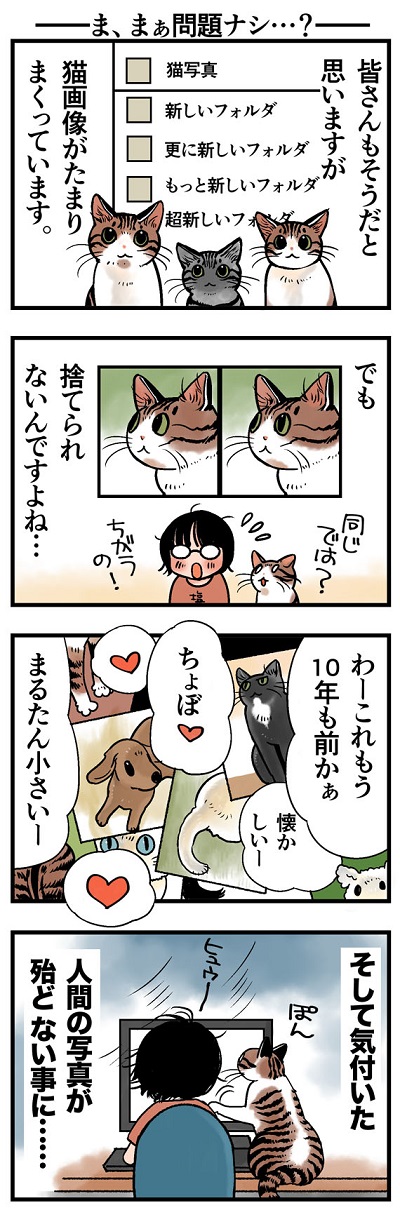 rinrin_neko156.jpg