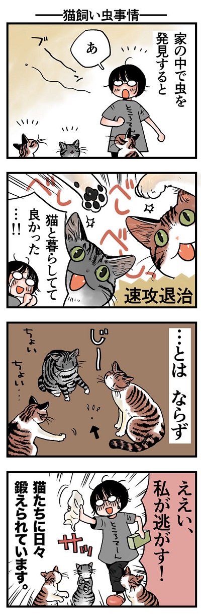 痒いの痒いの飛んで行かない│フェリシモ猫部