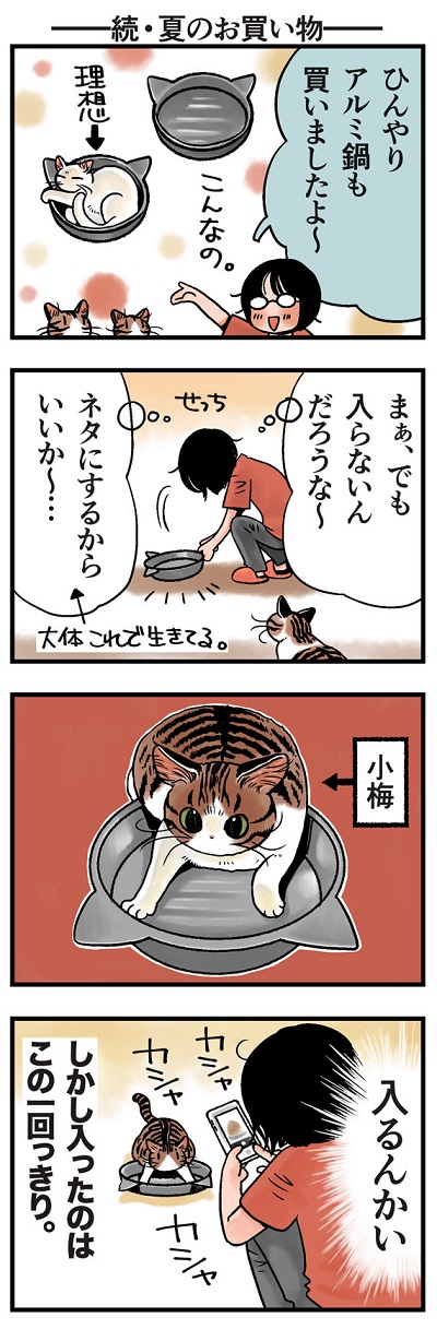 rinrin_neko160.jpg