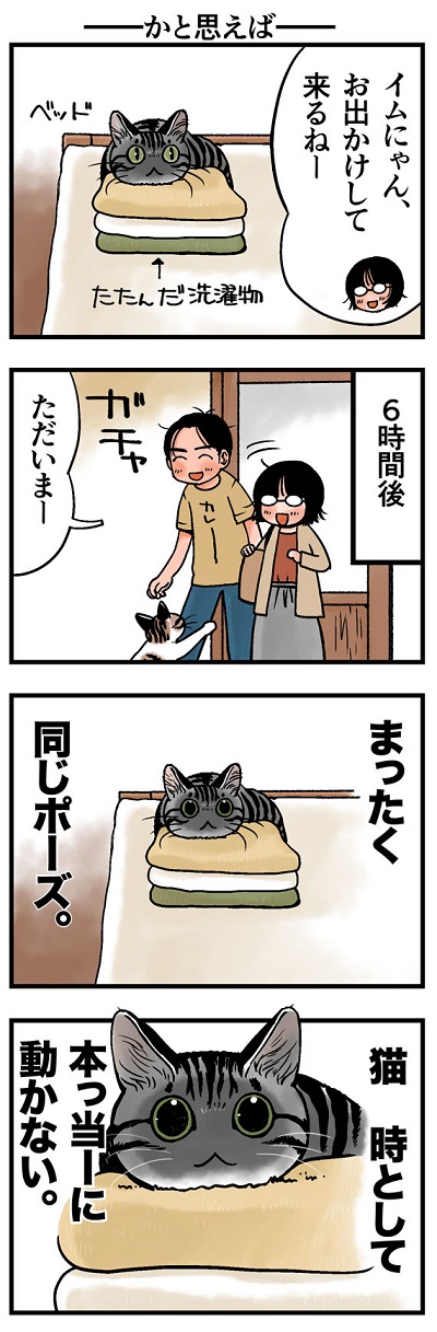 いつも不思議に思うこと フェリシモ猫部 いつも不思議に思うこと フェリシモ猫部
