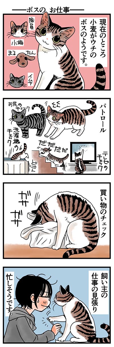 rinrin_neko27.jpg