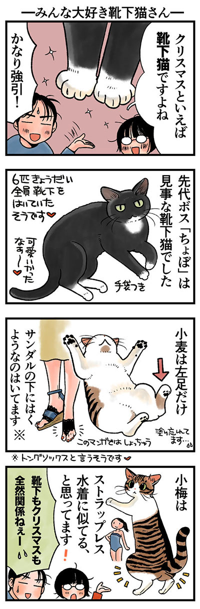 rinrin_neko96_re2.jpg