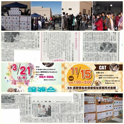 yumemaru2015L-1.jpg